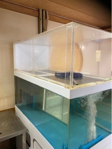 活魚用！　水槽1200   冷却装置セット　特大水槽