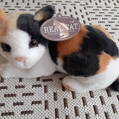 猫のぬいぐるみセットの画像