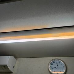 　逆さ富士型蛍光灯本体とラピット管　3本+1本