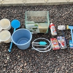 0円 水槽 金魚飼育セット バケツ エサ