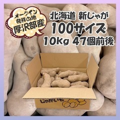 ★ラスト1★訳あり 厚沢部町 メークイン 北海道産 じゃがいも ...