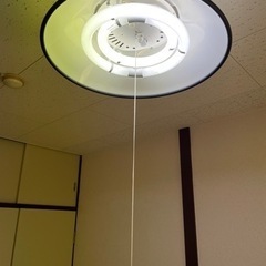 天井照明（直径約50cm）