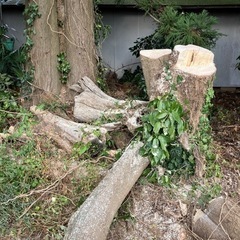 来年の薪にいかがですか？