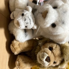 ライオン　ホワイトタイガーぬいぐるみ