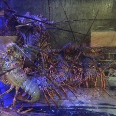 アルバイト　募集中の画像