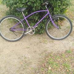 ゼブラ自転車　パセオクルーザー