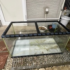 90センチ水槽　　無料
