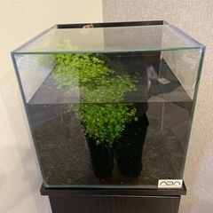 30センチ水槽、水槽台セットの画像