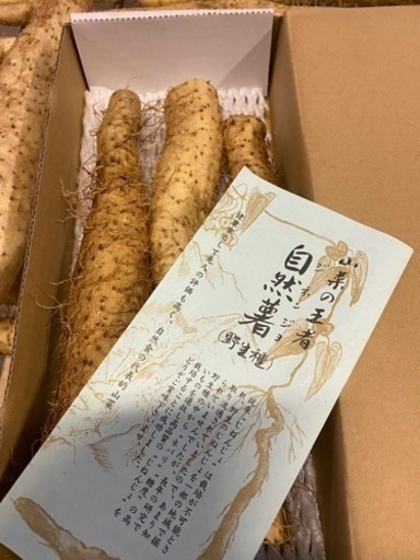 自然薯