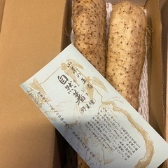 自然薯の中古が安い！激安で譲ります・無料であげます｜ジモティー