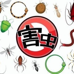 ★害虫駆除［東京、千葉、埼玉、神奈川］対応
