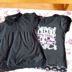 ポロシャツ＆Tシャツ  Mサイズ