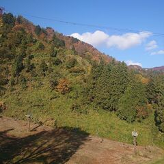 居酒屋ゴルファー募集