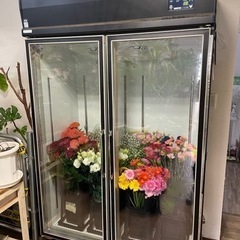 ダイワ製＊フラワーキーパー＊DAIWA＊花冷蔵庫クーラー中古