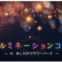 ⭐️11月19足利イルミネーションコン⭐️in足利
