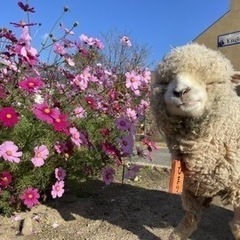お悩み相談、お話聞いて欲しい方募集！