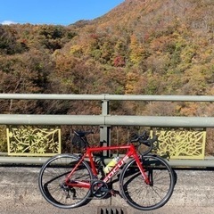 ロードバイク一緒に乗りませんか？ - 友達
