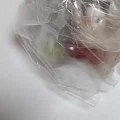 インコのお茶会の画像