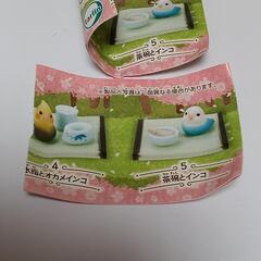 インコのお茶会の画像