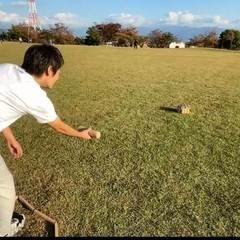 モルック仲間募集！ - スポーツ