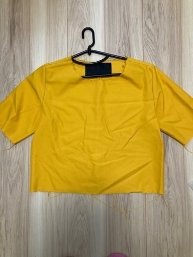 vladimir karaleev Tシャツ