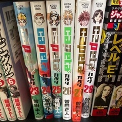 【決定】カペタ