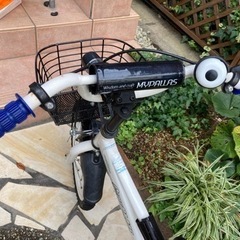 男子　自転車の画像