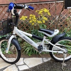男子　自転車