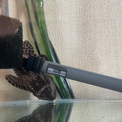 60cm水槽　セットの画像