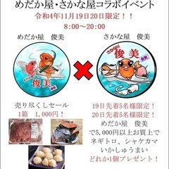 11月19、20日めだか屋　俊美イベント！