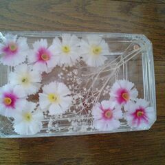 used★可愛い小物ケース