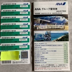 ANA株主優待券×7枚　2023年11月30日まで　グループ優待券付
