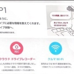 パイオニア NP1の画像