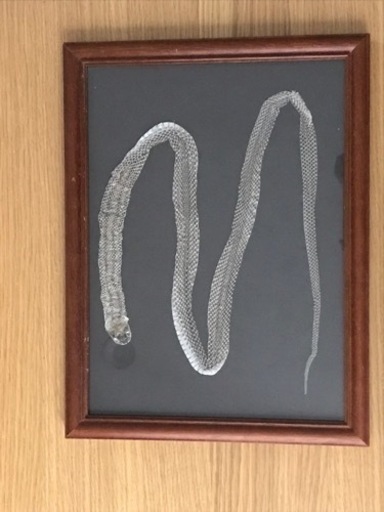 縁起物