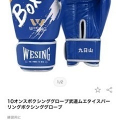 ボクシンググローブ、イサミイージーレガース（膝、アキレス腱保護）