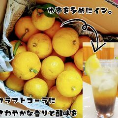 12/11（日）冬の無添加 ゆず クラフトコーラづくりワークショ...