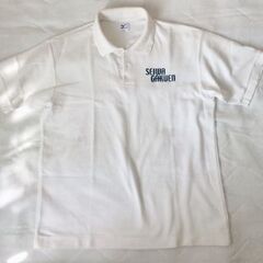 聖和学園高校 指定スクールジャージ MIZUNO 体操着 Lサイズ 一式 4点 セット ミズノ ジャス トレーニングウェア 長袖 長ズボン 半袖ポロシャツ 短パン キレイです♪の画像