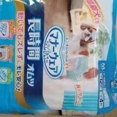 犬用オムツ