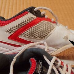 ヨネックスバドミントンシューズ差し上げますの画像