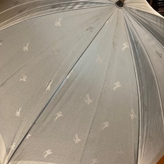 バーバリー　長傘の画像
