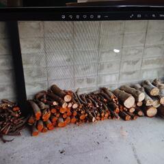 伐採幹、丸太あげますの画像