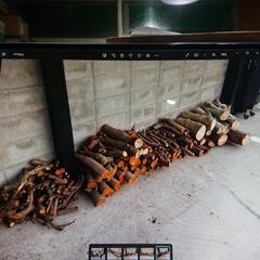 伐採幹、丸太あげますの画像