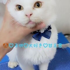 笑顔を見せてくれる☺懐っこ君