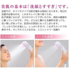 値下げ【SANEI】ミストストップシャワーヘッド 洗顔 毛穴汚れ落とし 手元ストップの画像