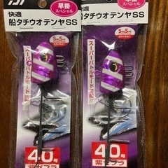 タチウオテンヤの画像