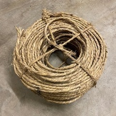 アラ縄の画像