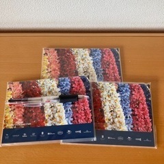 新品　ヒルトン　メモ用紙