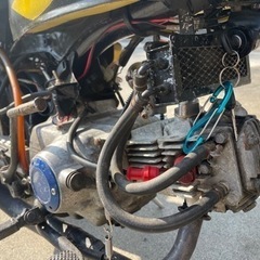 (商談中)Z50J モンキー ゴリラ 6v 88? 4Lフレームの画像
