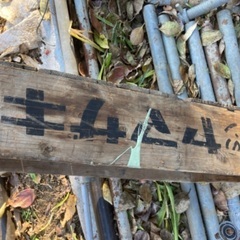 ヤマザキ　木箱　レトロの画像