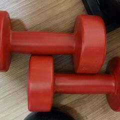 【5千円】マルチコンパクトジム、フラットベンチ 、10kgダンベル×２(不揃い)、1kgダンベル×２、4kgアレイ、2kgアレイ、2.5kgリングウェイト×２の画像
